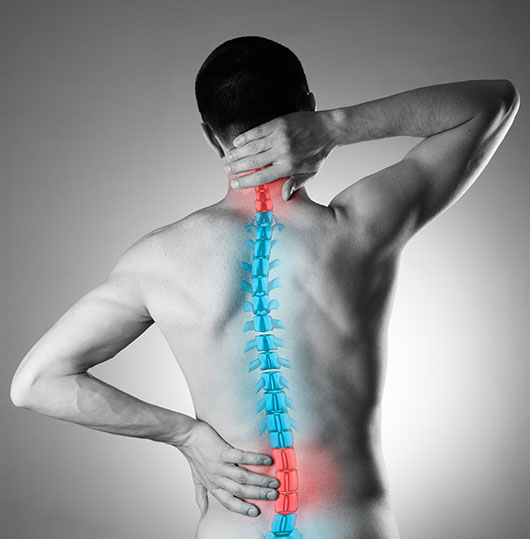 Back Pain Conditions